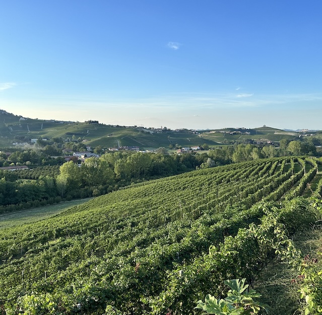 See experiences in Barolo