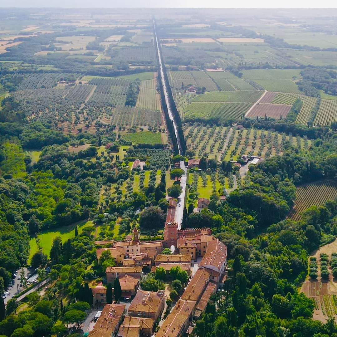 See experiences in Bolgheri