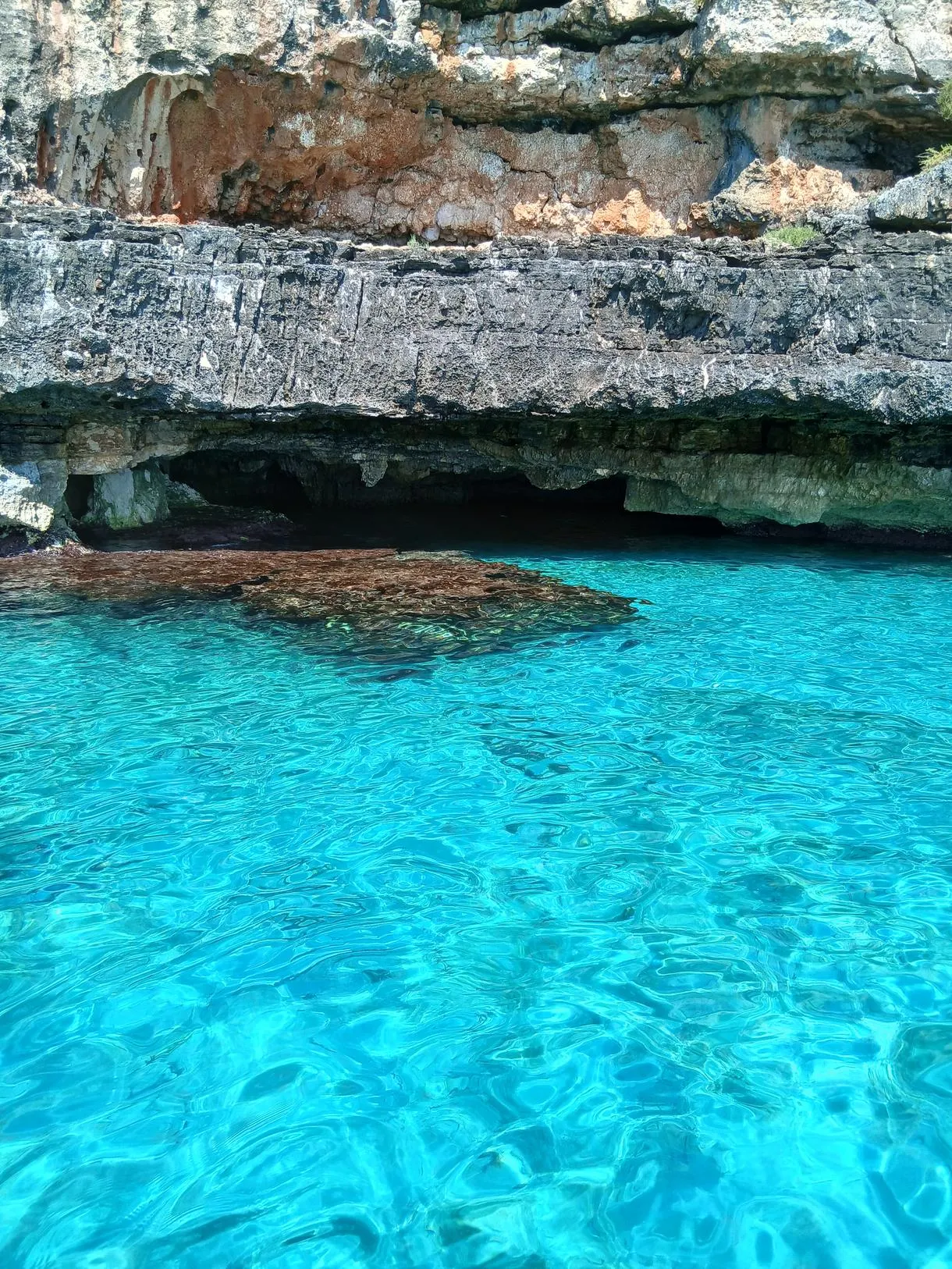 Escursione in barca di 3 ore con tour alle grotte di Leuca e soste bagno