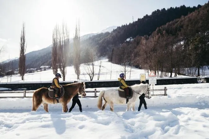 Passeggiata a Cavallo a Bormio