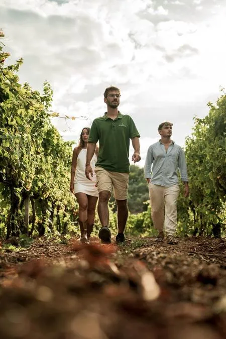 Degustazione vini guidata ad Acquabona