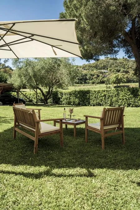 Guided wine tasting in Acquabona