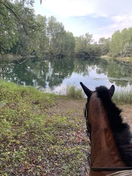 Horse Riding outside Milan in Robecchetto con Induno