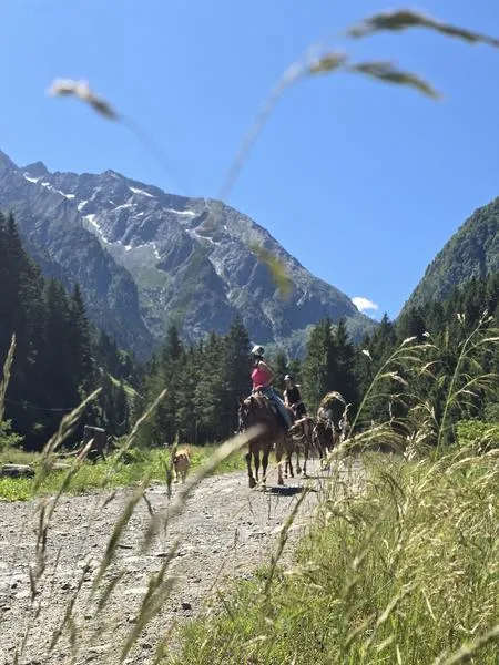 Passeggiata di un'ora e mezza