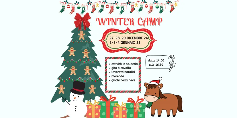 Winter Camp