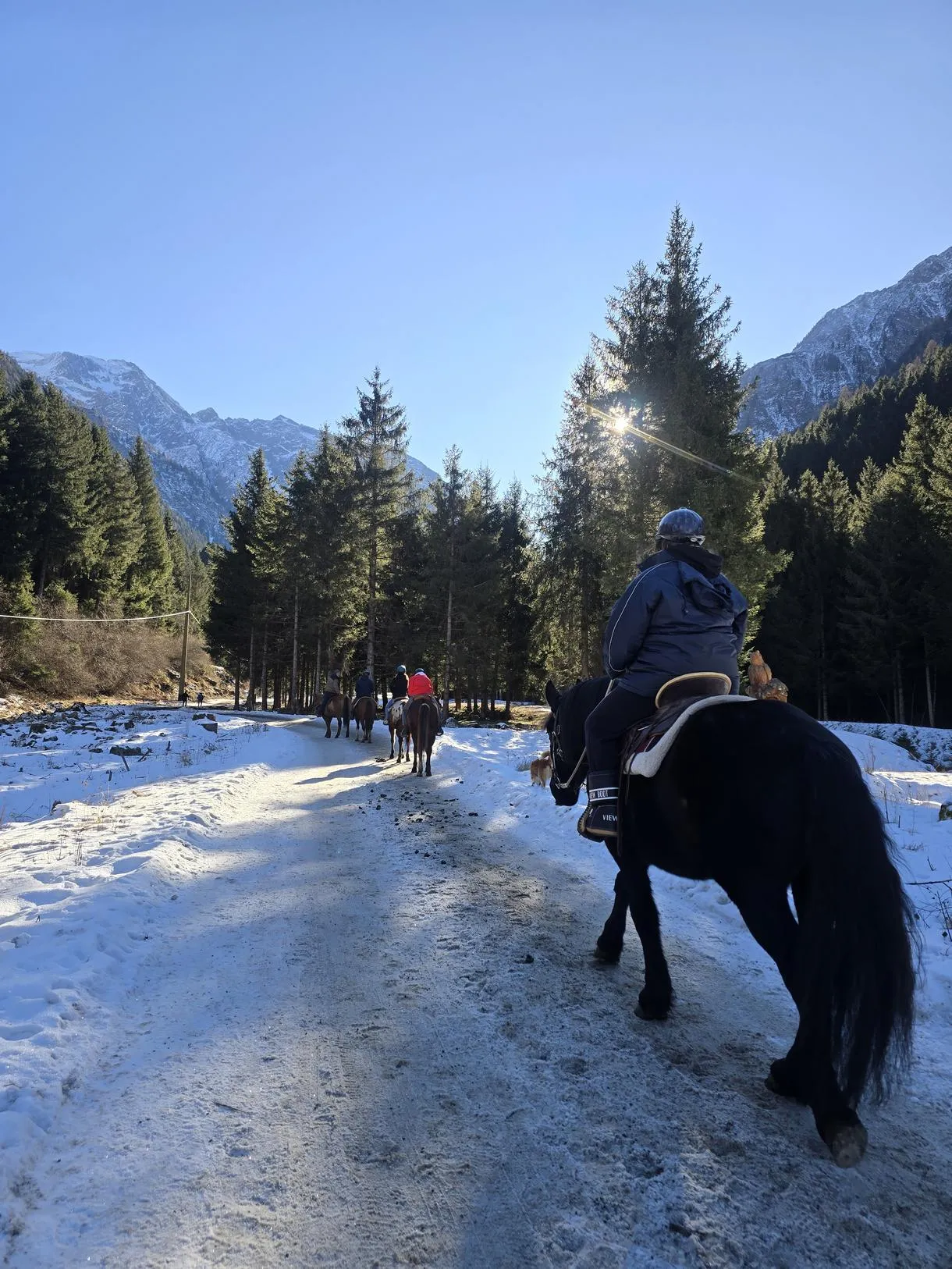 Passeggiata a Cavallo vicino a Ponte di Legno