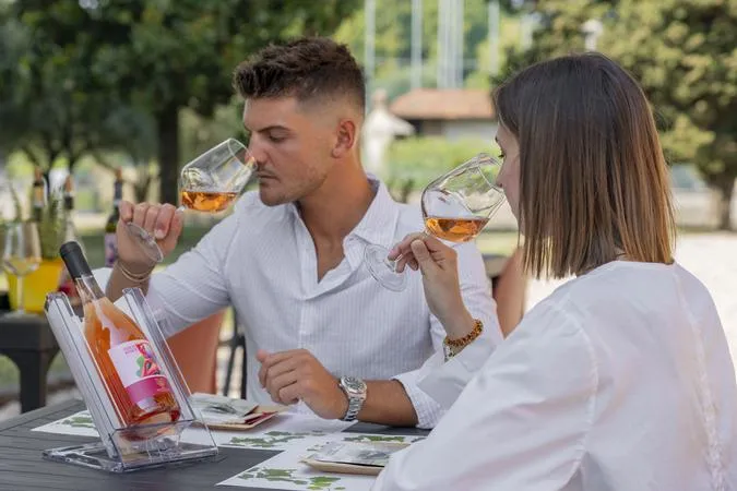 Visita guidata in cantina con degustazione vini a Villa Meneghello