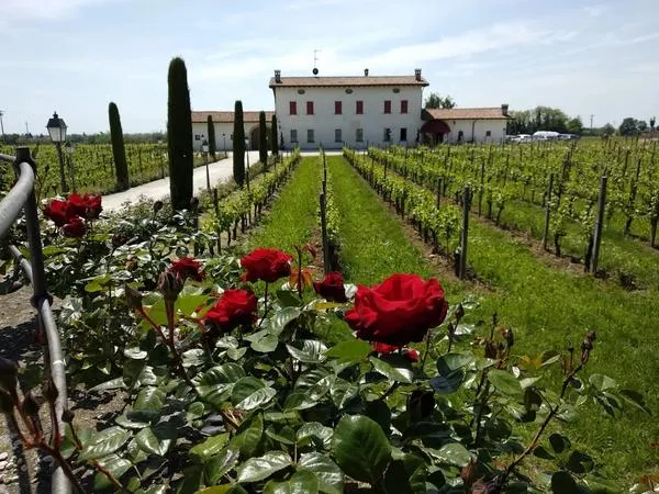 Pranzo in agriturismo in Franciacorta a Cazzago San Martino