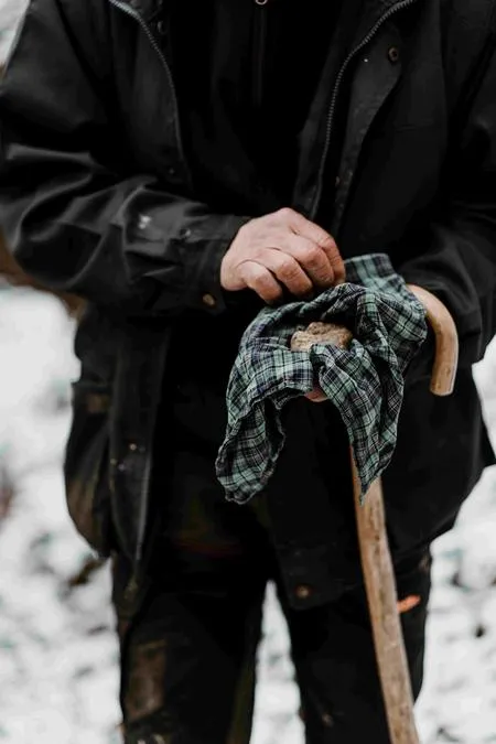 Caccia al tartufo nelle Langhe tra le colline di Alba