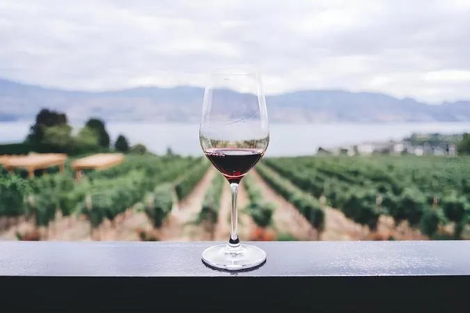 Winery tour with wine tasting in Mombaruzzo