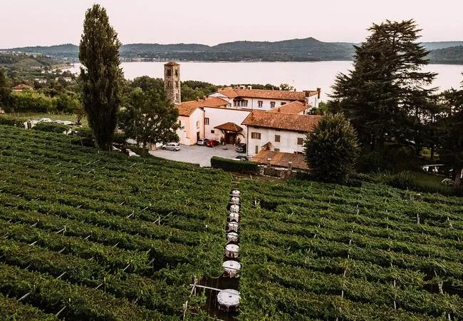 Degustazione vini e visita alla cantina in un vecchio monastero a Viverone