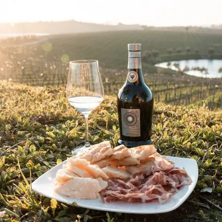 Picnic in vigna nel basso Garda a Lonato