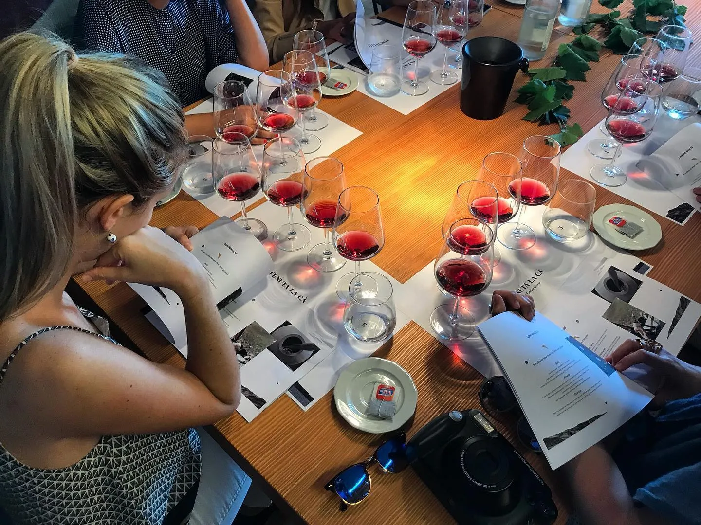 Degustazione vini a Bardolino con visita della cantina