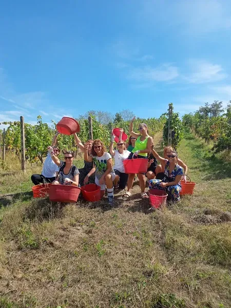 Vendemmia e merenda nel Monferrato