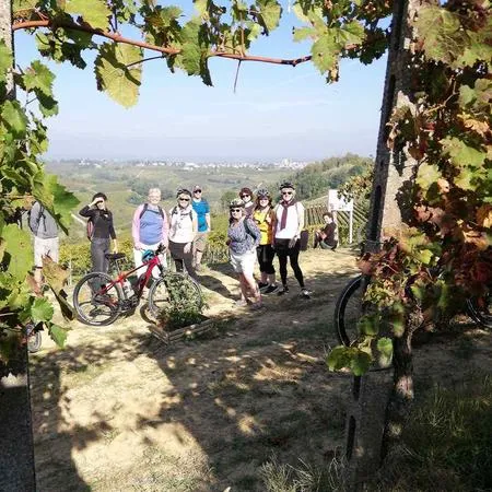 E-bike tour nelle Langhe e Monferrato