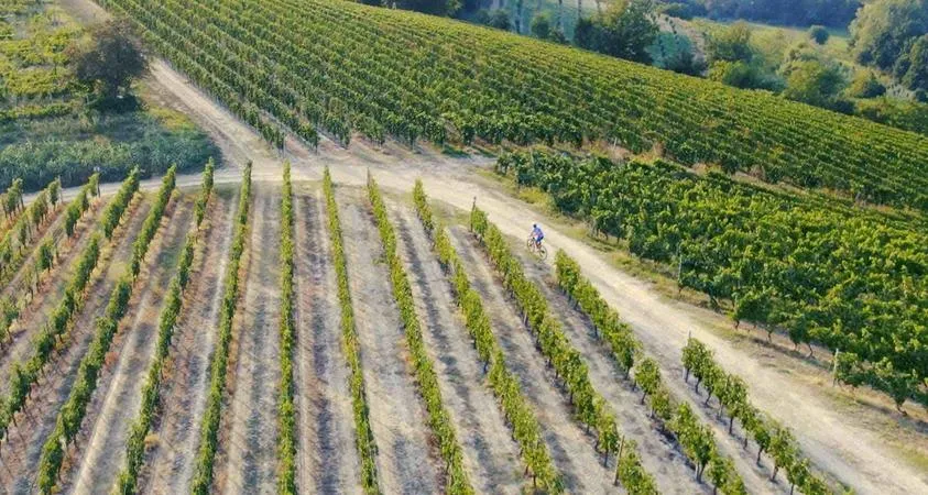 E-bike tour nelle Langhe e Monferrato