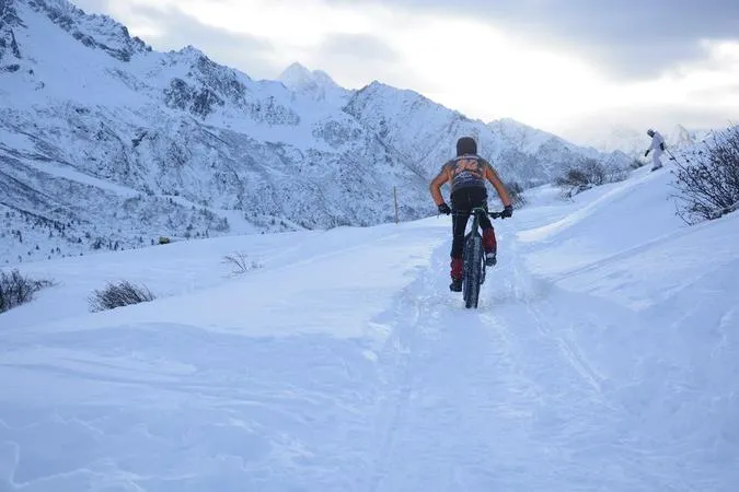 Fat bikes tour with aperitif at Malga Valbiolo in Passo Tonale