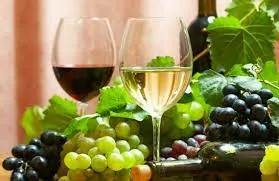 Pranzo in vigna nel Monferrato