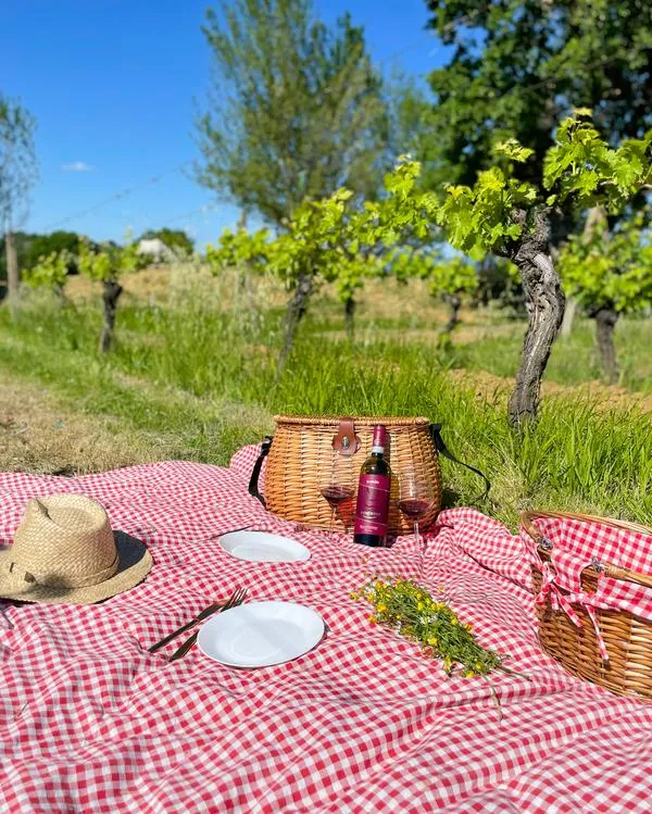 Picnic among the vineyards with typical products in Montepulciano