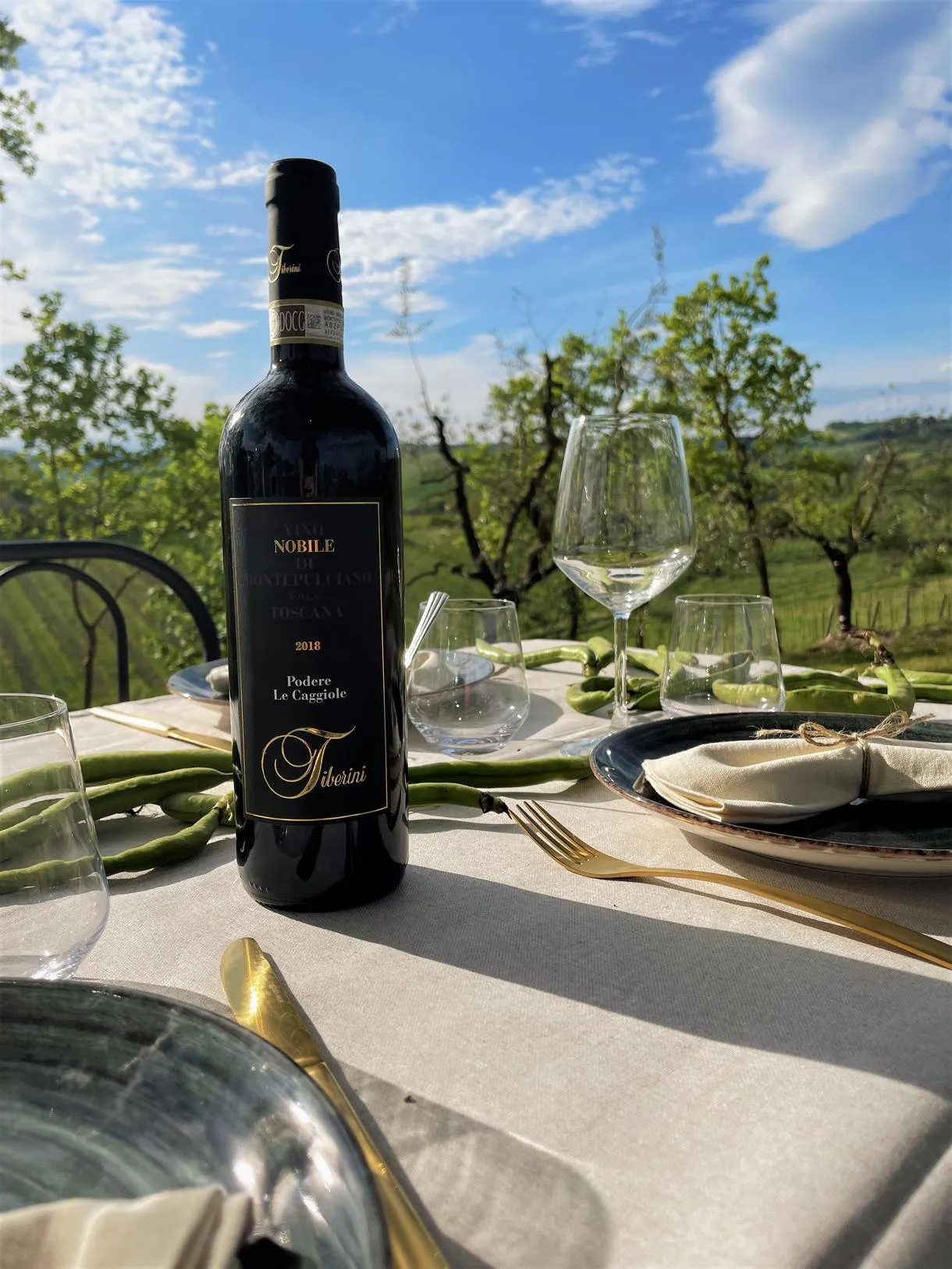 Pranzo In Agriturismo Con Degustazione Vini A Montepulciano Holidoit
