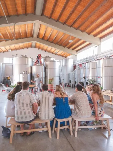 Degustazione di vino in una cantina biologica ad Alcamo