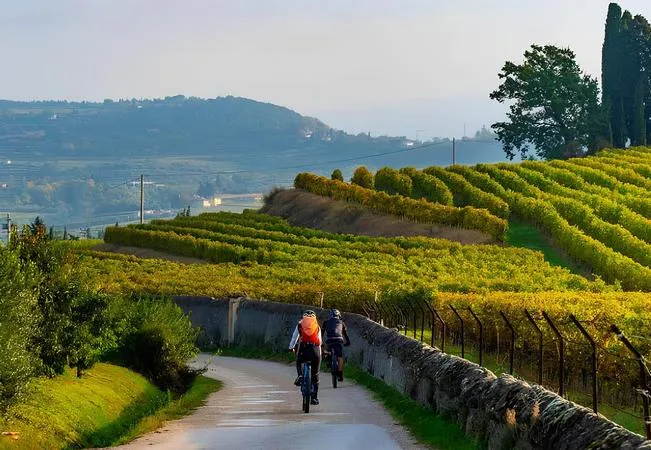 Giro in e-bike tra i vigneti nel Monferrato da Isola d'Asti con degustazione