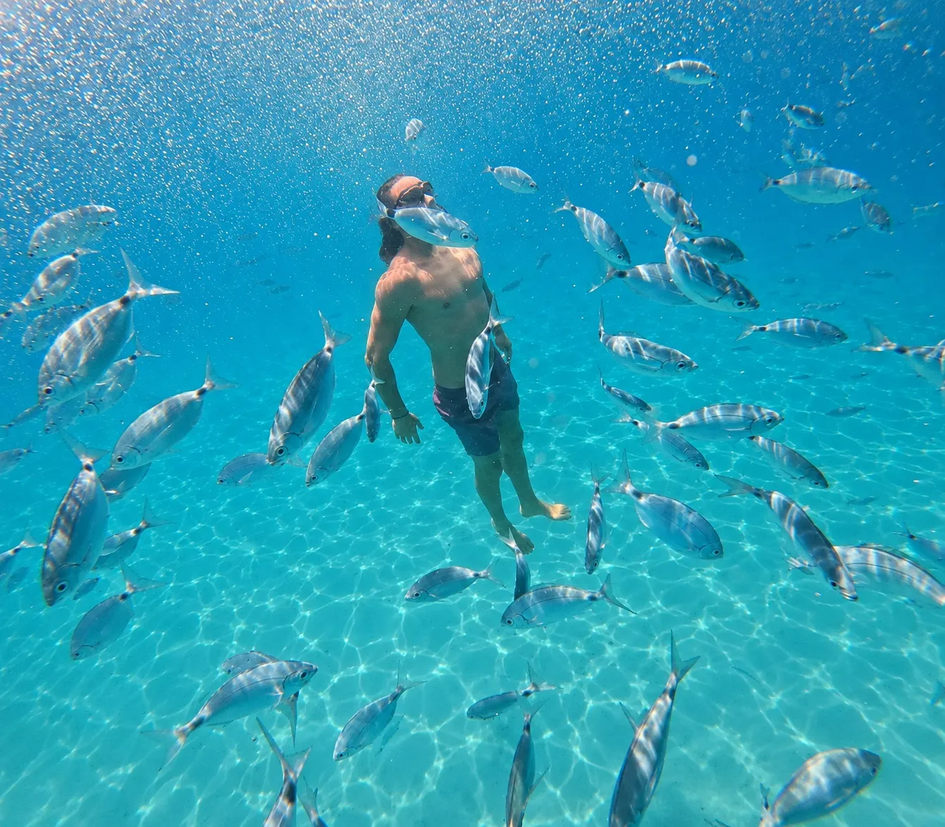 Tour in gommone alla Sella del Diavolo con avvistamento di delfini da Cagliari