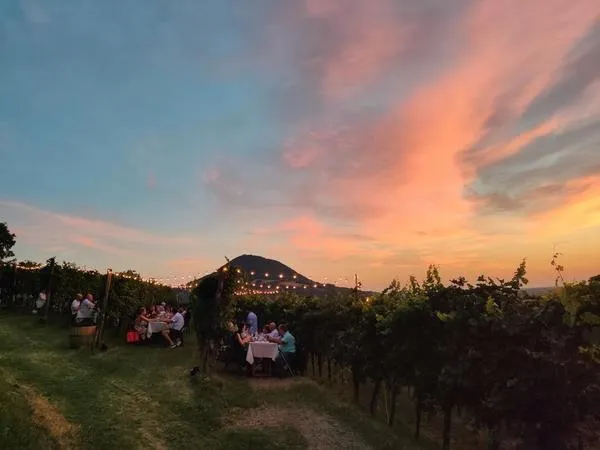 Dinner in the vineyard in the Euganean Hills