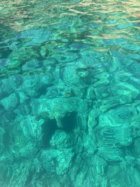Esclusiva in Barca – Alla scoperta del Parco Naturale di Porto Conte Alghero