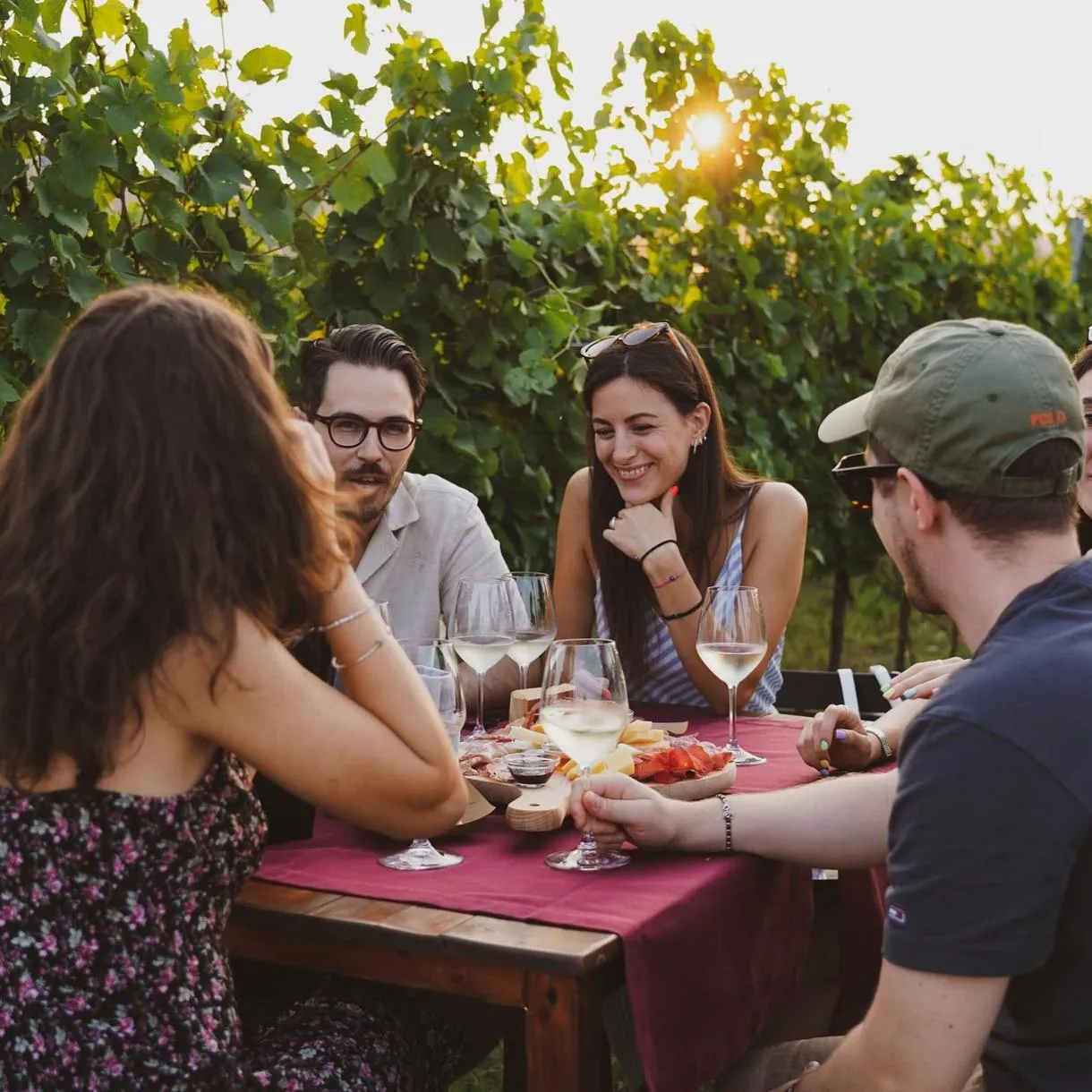 Aperitif in the vineyard outside Vicenza