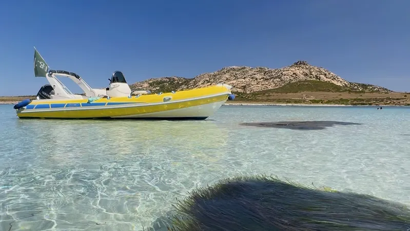 Half-day dinghy tour in Asinara National Park