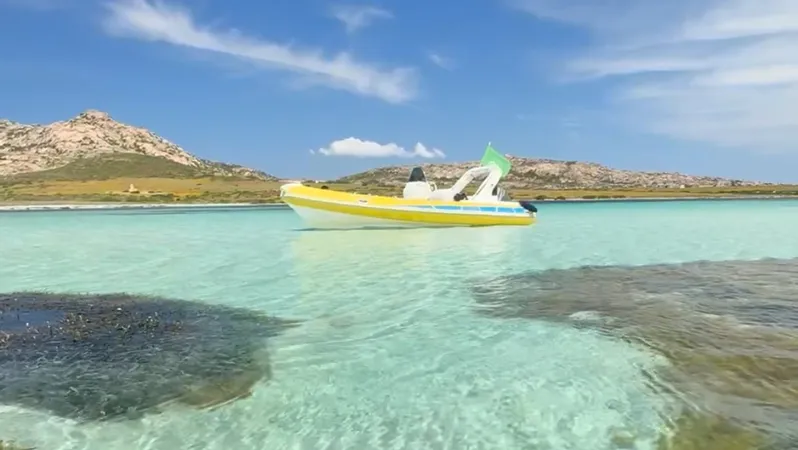 Tour in gommone di mezza giornata nel Parco Nazionale dell'Asinara