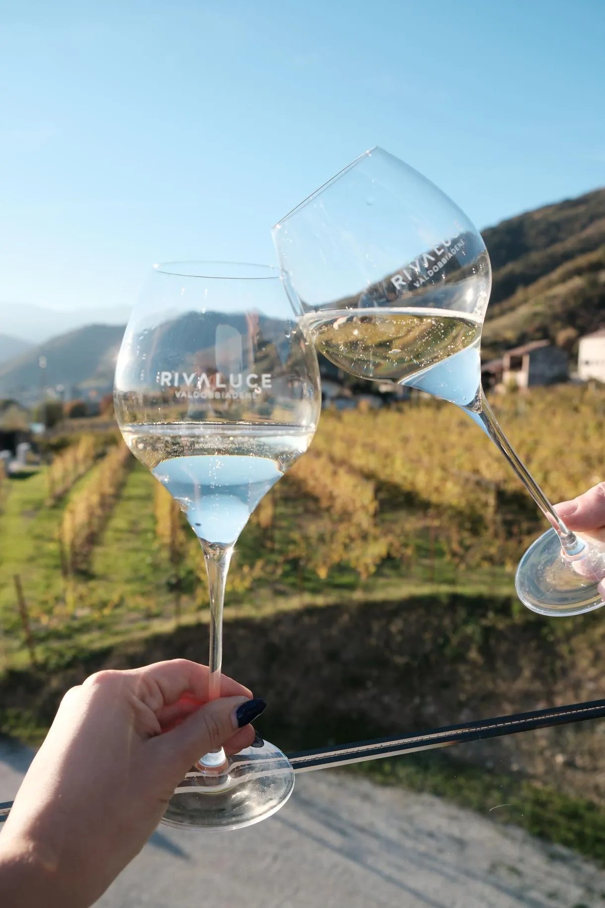 Degustazione di Prosecco in Valdobbiadene