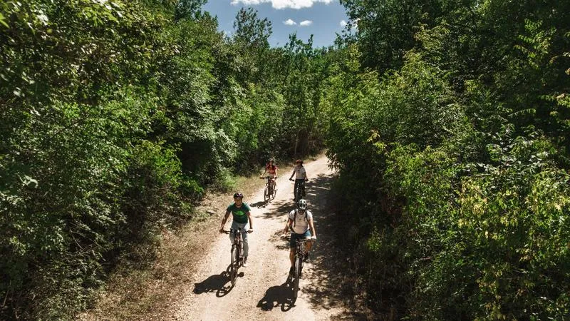 Tour in e-bike con picnic e degustazione vini nella Maremma a Saturnia