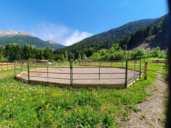 Lezione di equitazione