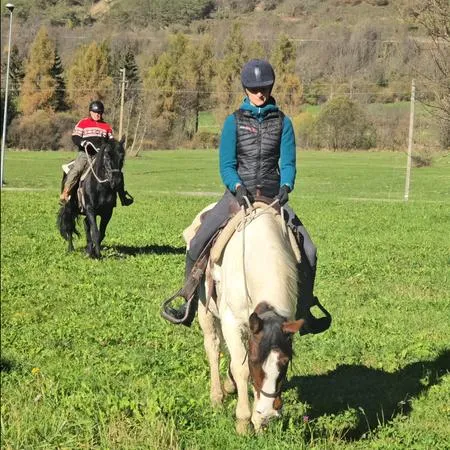 Lezione di equitazione