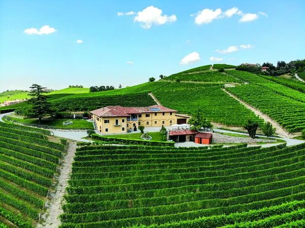 Degustazione vini con visita in cantina a Monforte d'Alba