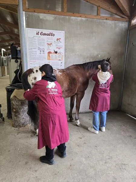 Ponytime - Attività al ranch