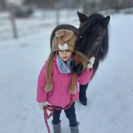 Equitime - attività in scuderia