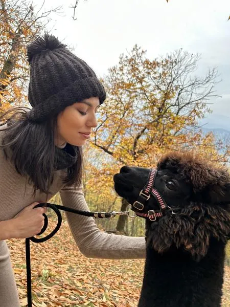 Passeggiata con alpaca al Lago d'Iseo in Valcamonica