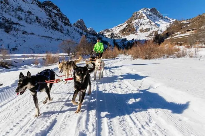 Sleddog a Castelmagno con i cani da slitta