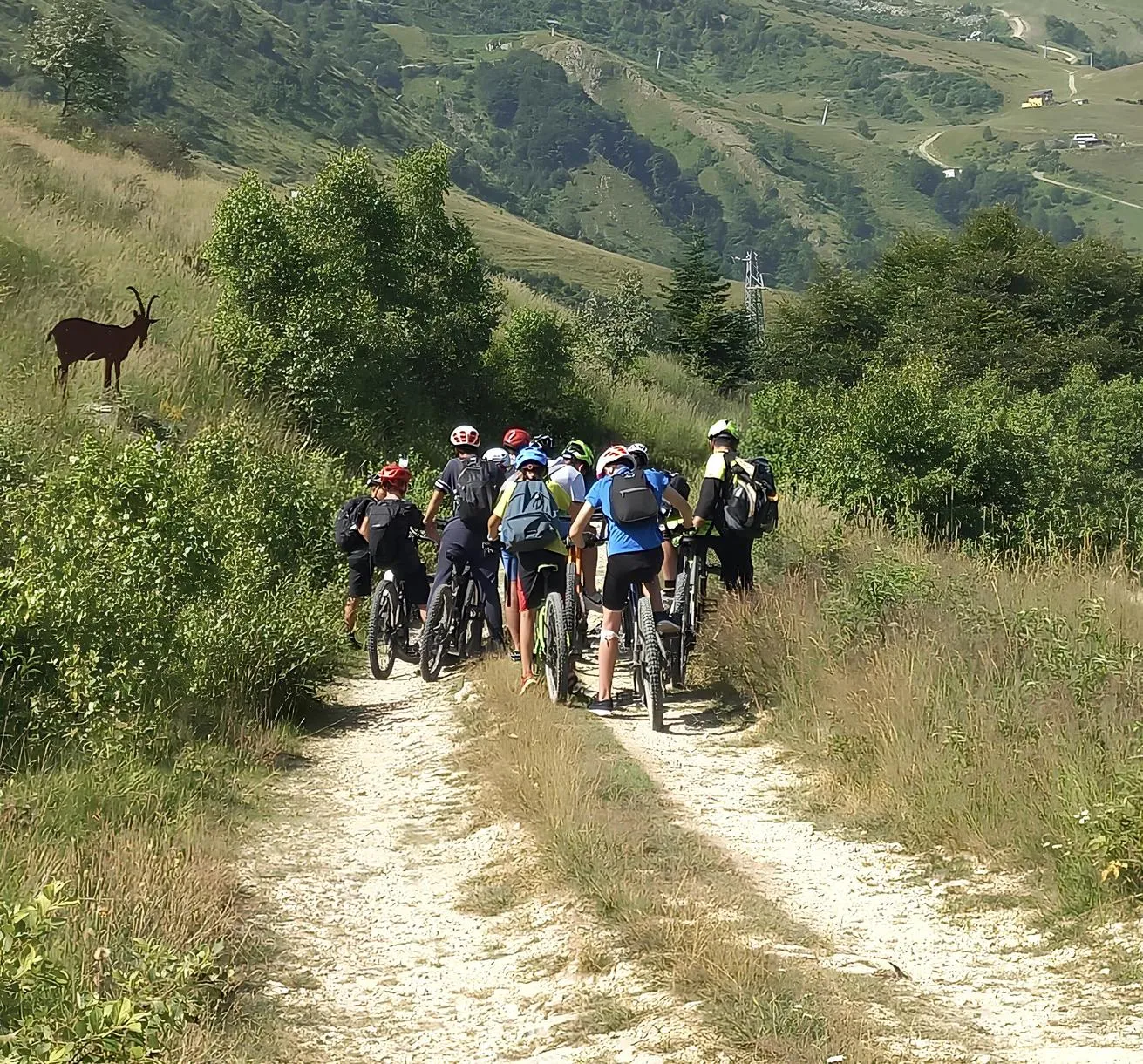 Tour in e-bike con degustazione nel Monregalese