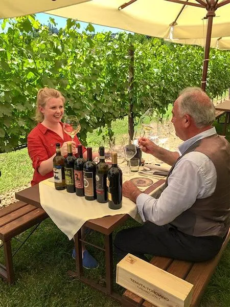 Pranzo tra i vigneti e degustazione vini a San Gimignano