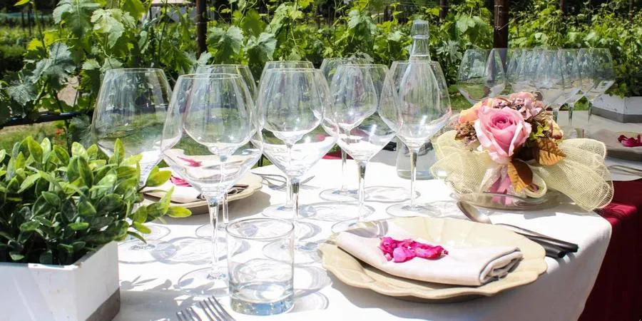 Pranzo tra i vigneti e degustazione vini a San Gimignano