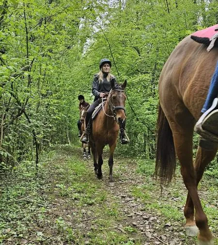 Passeggiata a cavallo a Olgiate Comasco