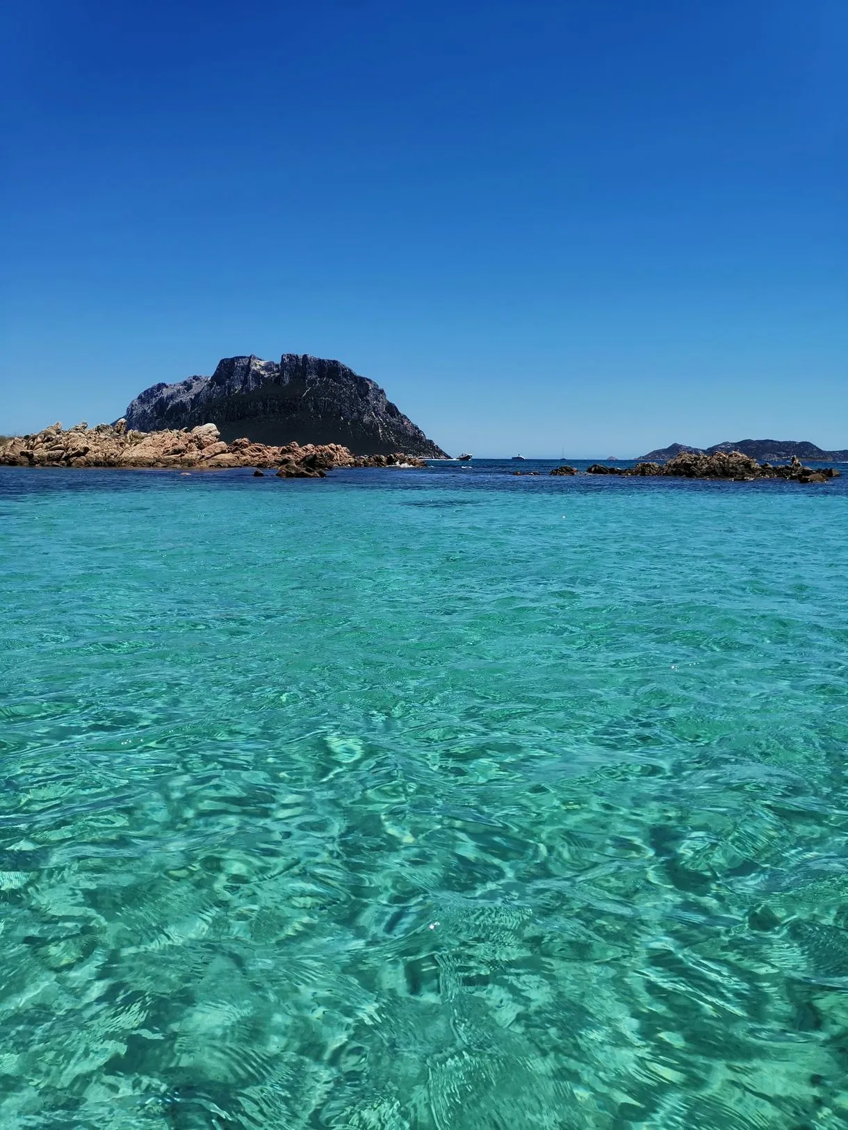 Noleggio gommone senza patente nautica da Olbia