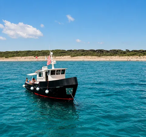Escursione in barca giornaliera di gruppo a Golfo Aranci