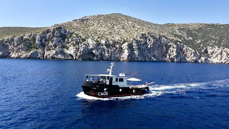 Escursione in barca giornaliera di gruppo a Golfo Aranci