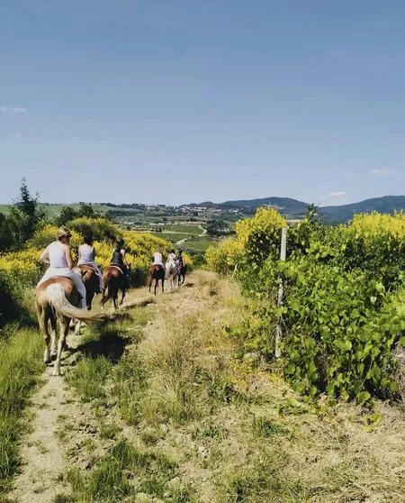 Passeggiata a cavallo fuori Firenze a Pelago