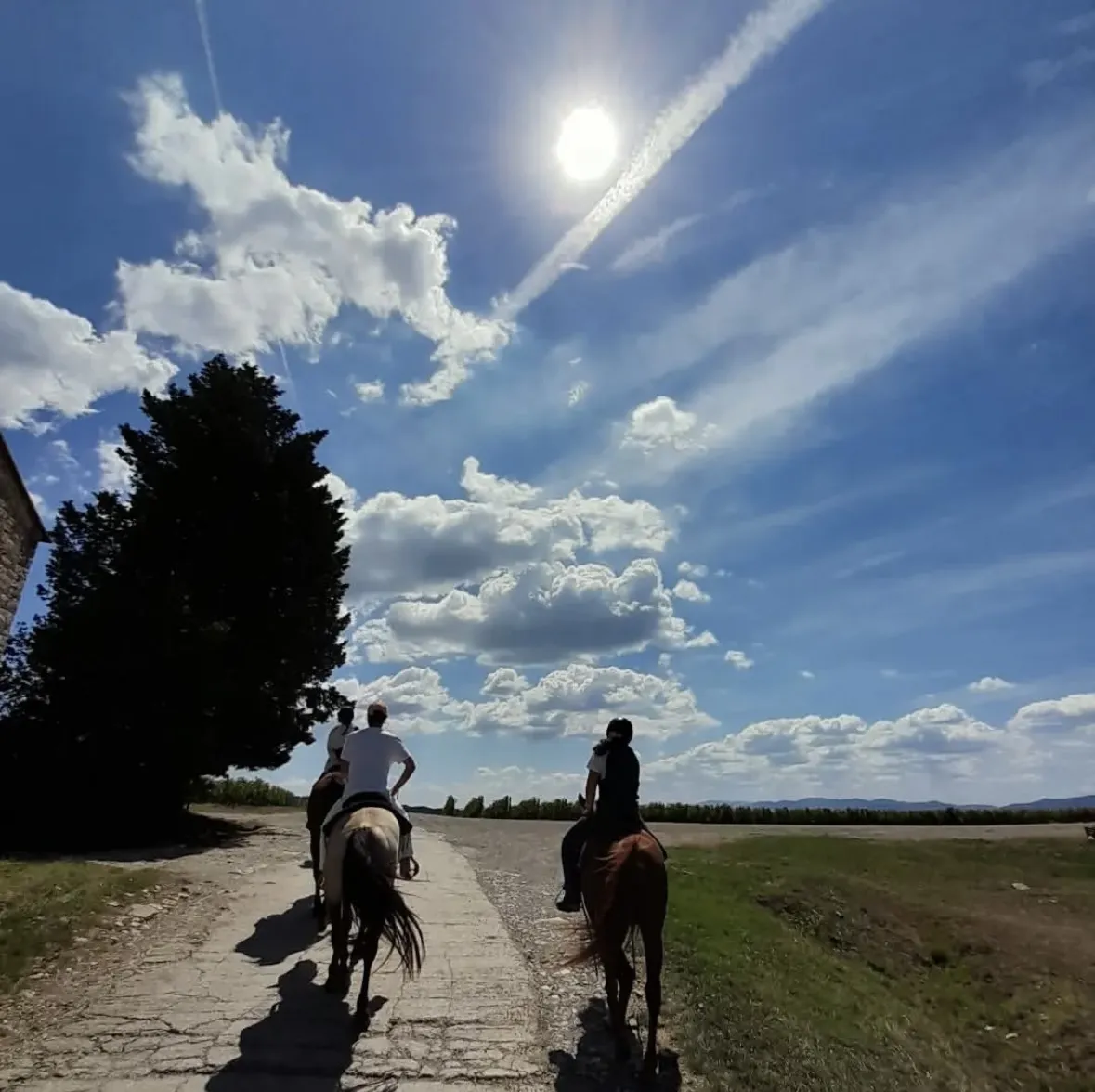 Passeggiata a cavallo con degustazione di vino fuori Firenze